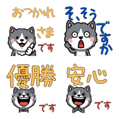 Moving Polite GrayCat 6th