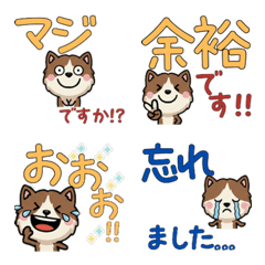 Moving Polite BrownCat 6th