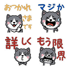 Moving Message GrayCat 4th