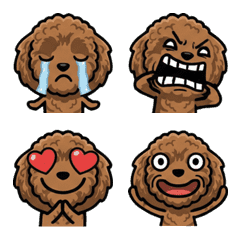 Moving ToyPoodle 2nd