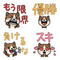 Moving Message BrownCat 4th