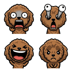 Overreaction ToyPoodle 1st