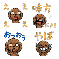 Message ToyPoodle 3rd