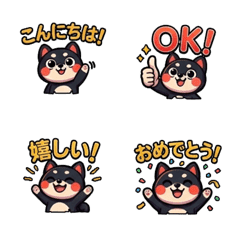 Ryunosuke, a black Shiba Inu puppy