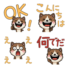 Message BrownCat 3rd