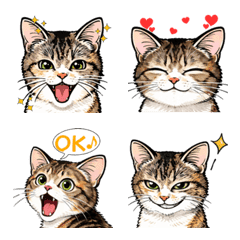 キジ猫のリアクション絵文字