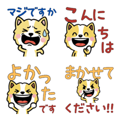 Polite Lemon Beagle 5th