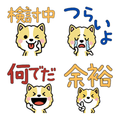 Overreaction Lemon Beagle 3rd