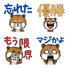 Overreaction Roborovski 3rd