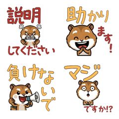 Polite Roborovski 5th