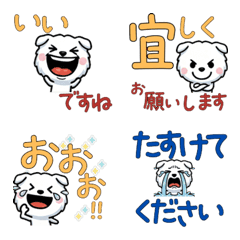 Polite White Scottish 5th