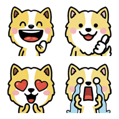 Overreaction Lemon Beagle 1st