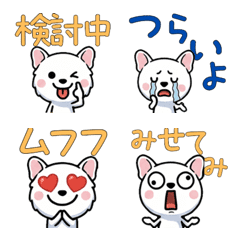 Overreaction White Frenchie 3rd