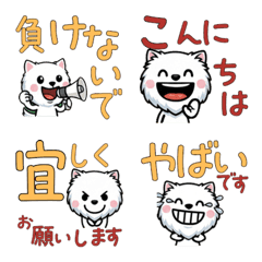 Polite White Persian 5th