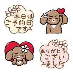 Toy Poodle Dandy Plumeria Salon Emoji