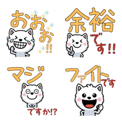 敬語の白マンチカン5