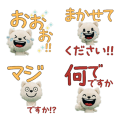 敬語のシロクマ11