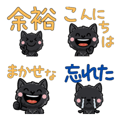 動く黒メインクーン4