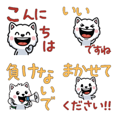 動く敬語の白マンチカン6