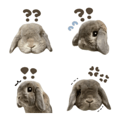 kinako.emoji