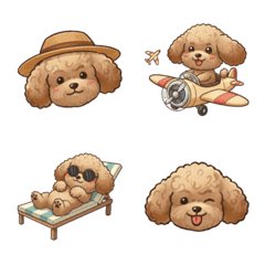 พูเดิ้ล (สีครีม) : น้องชานมสุดละมุน