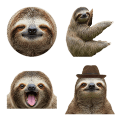 สลอธ ภาพสมจริง