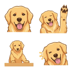 Golden Retriever Gold (Dog)