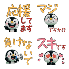 เพนกวินสุภาพขยับ 6th