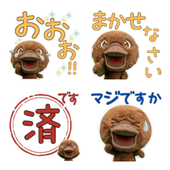 ตุ่นปากเป็ด สุภาพดุ๊กดิ๊ก 12th