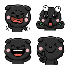 สก็อตติชโฟลด์สีดำ ดุ๊กดิ๊ก 2nd