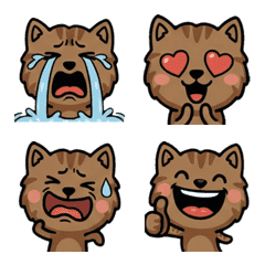 แมวมันช์กินน้ำตาลดุ๊กดิ๊ก 2nd