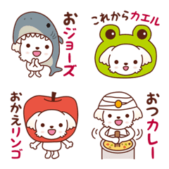 Momo the Maltese_ Puns galore 1