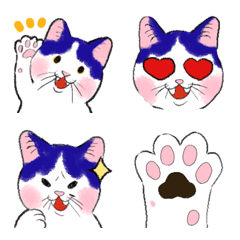 Manx cat called Shizuku