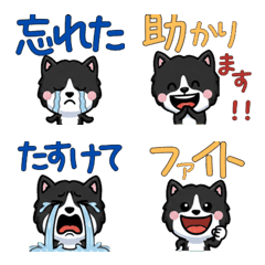 แมวขาวดำมีคำ 3rd