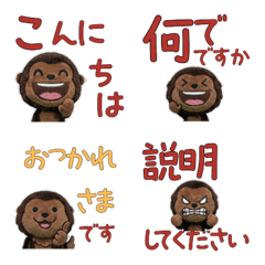 กอริลลา ภาษาสุภาพ 11th