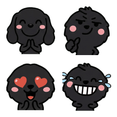 ค็อกเกอร์สีดำ รีแอคชั่นใหญ่ 1st