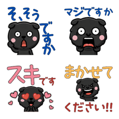 สก็อตติชโฟลด์สีดำ ภาษาสุภาพ 5th