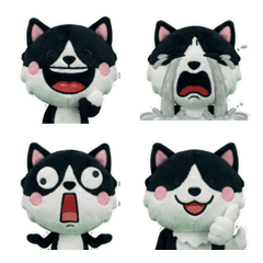 แมวฮาชิวาระ ดุ๊กดิ๊ก 8th