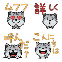 แมวลายสลิดสีเงินขยับได้ 4th