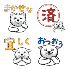 Reaction Westie  15th