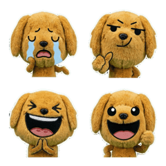 โกลเด้น รีทรีฟเวอร์ ดุ๊กดิ๊ก 8th