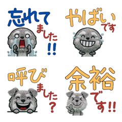 Animated Polite Schnauzer 12th