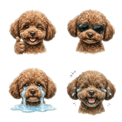 Cocoa - Cute Toy Poodle Emoji