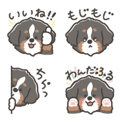 bernese mountain dog  emoji