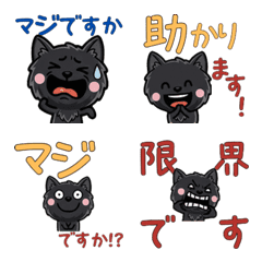 เมนคูนสีดำ สุภาพดุ๊กดิ๊ก 6th