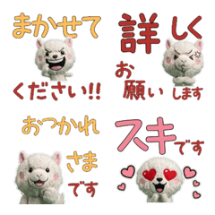 อัลปาก้า สุภาพดุ๊กดิ๊ก 12th