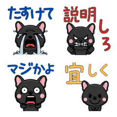 เฟรนช์บูลด็อกสีดำ ดุ๊กดิ๊ก 4th