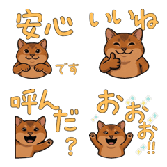 สติกเกอร์แมวอะบิสซิเนียน  15th