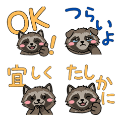 จิ้งจอกเอโซทานูกิหน้ากลม  21st