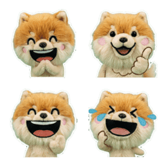 ตุ๊กตาปอมเมอเรเนียน 1st